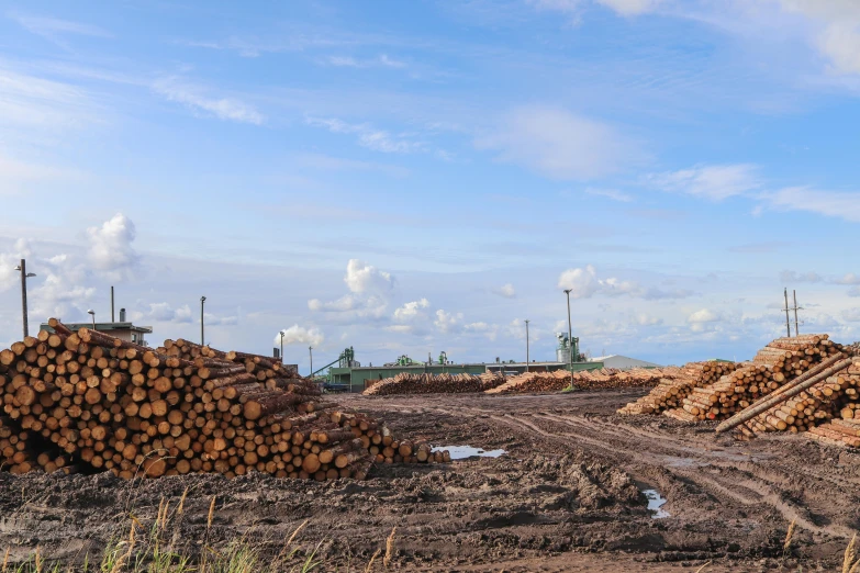 a pile of logs sitting on top of a dirt field, unsplash, hurufiyya, rendering of log pile factory, avatar image, te pae, steel mill