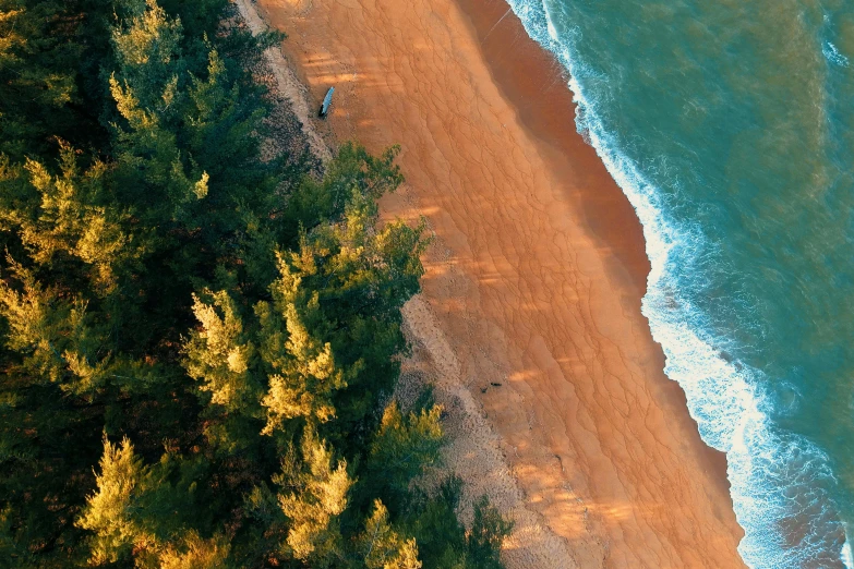 a person riding a surfboard on top of a sandy beach, by Max Dauthendey, unsplash contest winner, hurufiyya, sparse pine forest long shadows, bird\'s eye view, red sand, ( ( ( ( kauai ) ) ) )