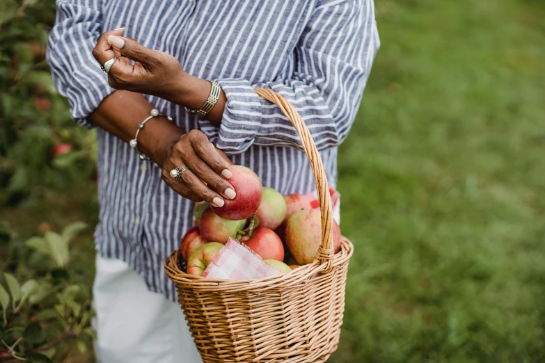 a woman holding a basket full of apples, by Julia Pishtar, pexels contest winner, picnic, background image, striped, uncrop