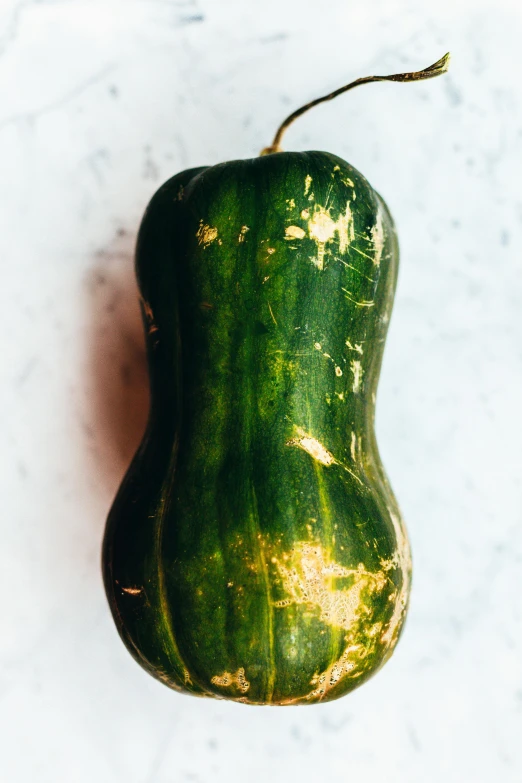 a green squash sitting on top of a white counter, by Yasushi Sugiyama, multiple stories, epicurious, weathered olive skin, real image