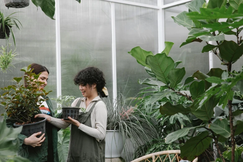 a couple of women standing next to each other in a greenhouse, pexels contest winner, renaissance, giving gifts to people, alana fletcher, people at work, plants allover