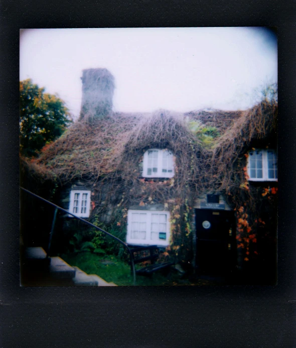 a house with ivy growing on the roof, a polaroid photo, unsplash, thatched houses, medium format, very tiny, cottagecore!!