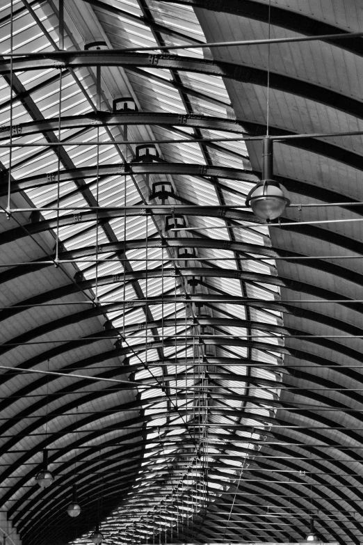 a black and white photo of a train station, inspired by Zaha Hadid, flickr, symmetry!! portrait, paul davey, ceiling, roofs