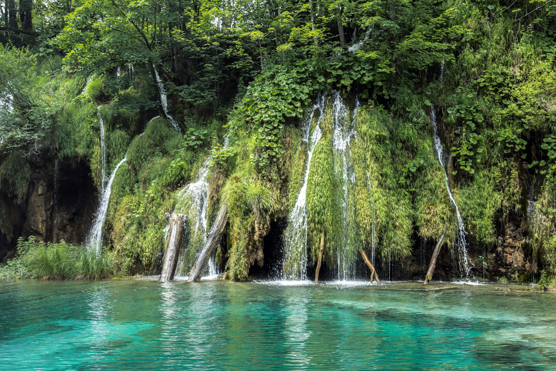 a waterfall in the middle of a lush green forest, by Julia Pishtar, pexels contest winner, hurufiyya, magical sparkling lake, avatar image, croatian coastline, dripping stalagtites