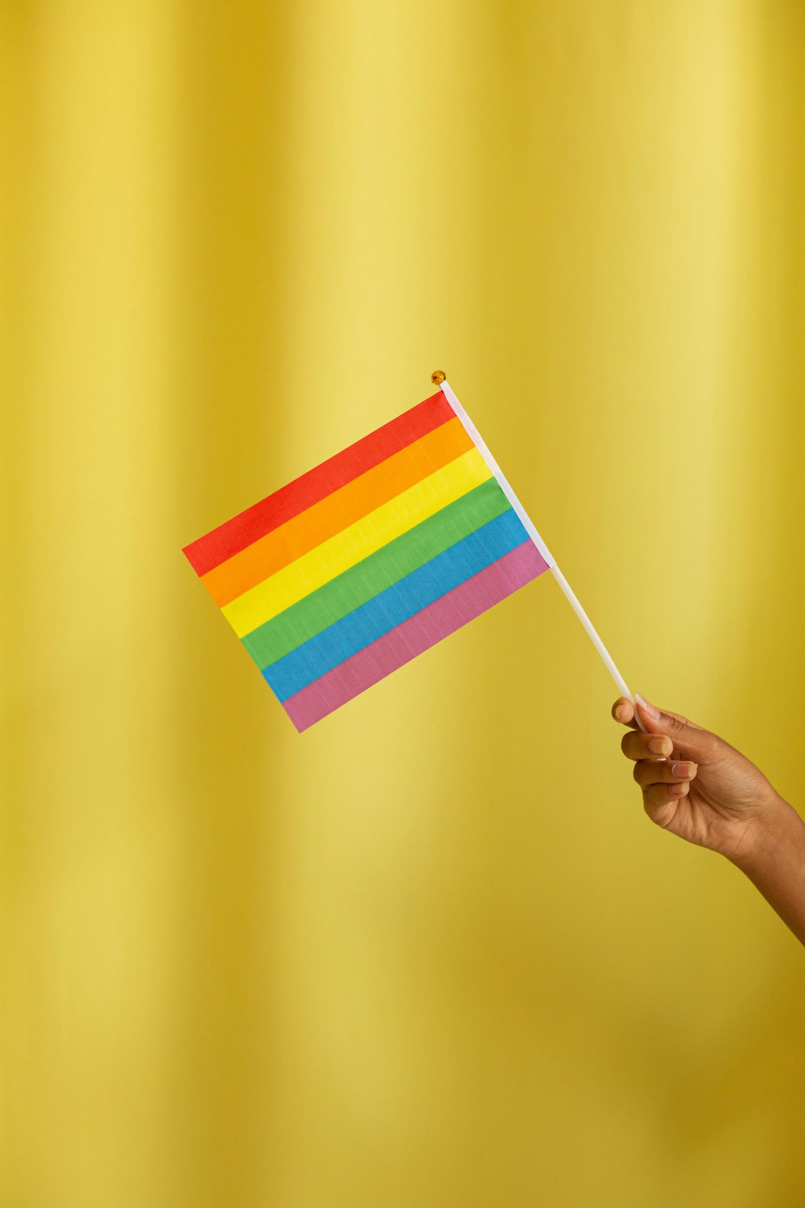 a person holding a rainbow flag against a yellow background, single long stick, we go, official product photo, paper