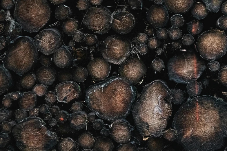 a pile of logs sitting next to each other, an album cover, by Jacob de Heusch, pexels contest winner, background image, seamless texture, dark abstract background, background ( dark _ smokiness )