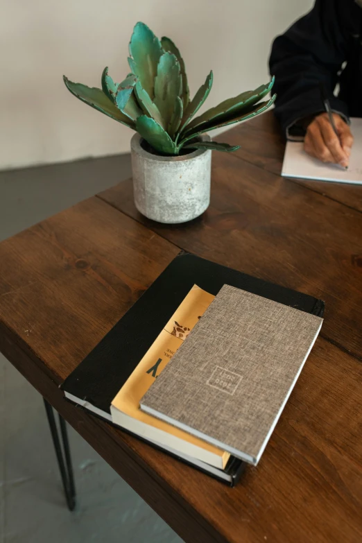 a person sitting at a table writing on a piece of paper, private press, hard cover book, iconic design, brown, traditional chinese