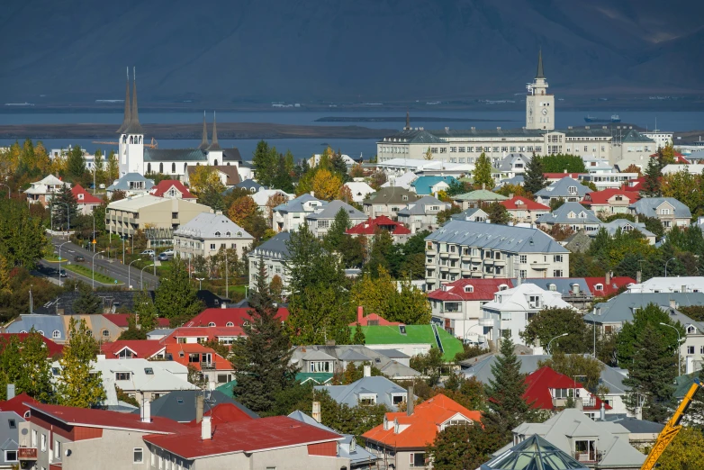 a view of a town with mountains in the background, by Hallsteinn Sigurðsson, unsplash, art nouveau, square, reykjavik junior college, city buildings on top of trees, red roofs