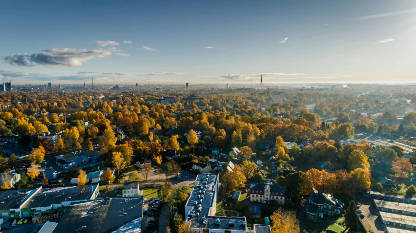 an aerial view of a city in the fall, by Jesper Knudsen, hurufiyya, ultrawide angle cinematic view, bright sky, tree town, cinematic shot ar 9:16 -n 6 -g