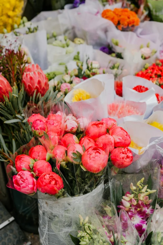 a bunch of flowers sitting next to each other, market setting, zoomed in, pink and red color scheme, hazy