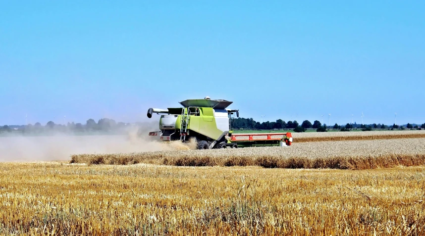 a green and white combiner in the middle of a field, by Andries Stock, pexels contest winner, heavy grain-s 150, working out in the field, on a hot australian day, avatar image