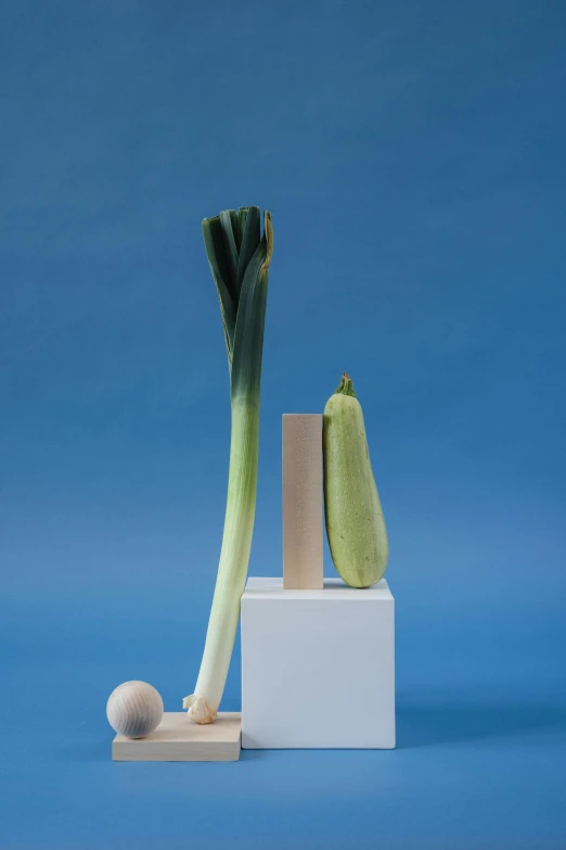 a bunch of vegetables sitting on top of a white box, an abstract sculpture, inspired by Giorgio Morandi, with a blue background, tall shot, celery man, balance composition