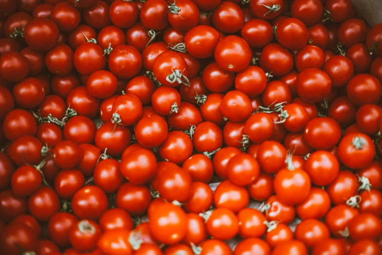 a bowl filled with lots of red tomatoes, a picture, pexels, visual art, background image, instagram post, grain”, cherry