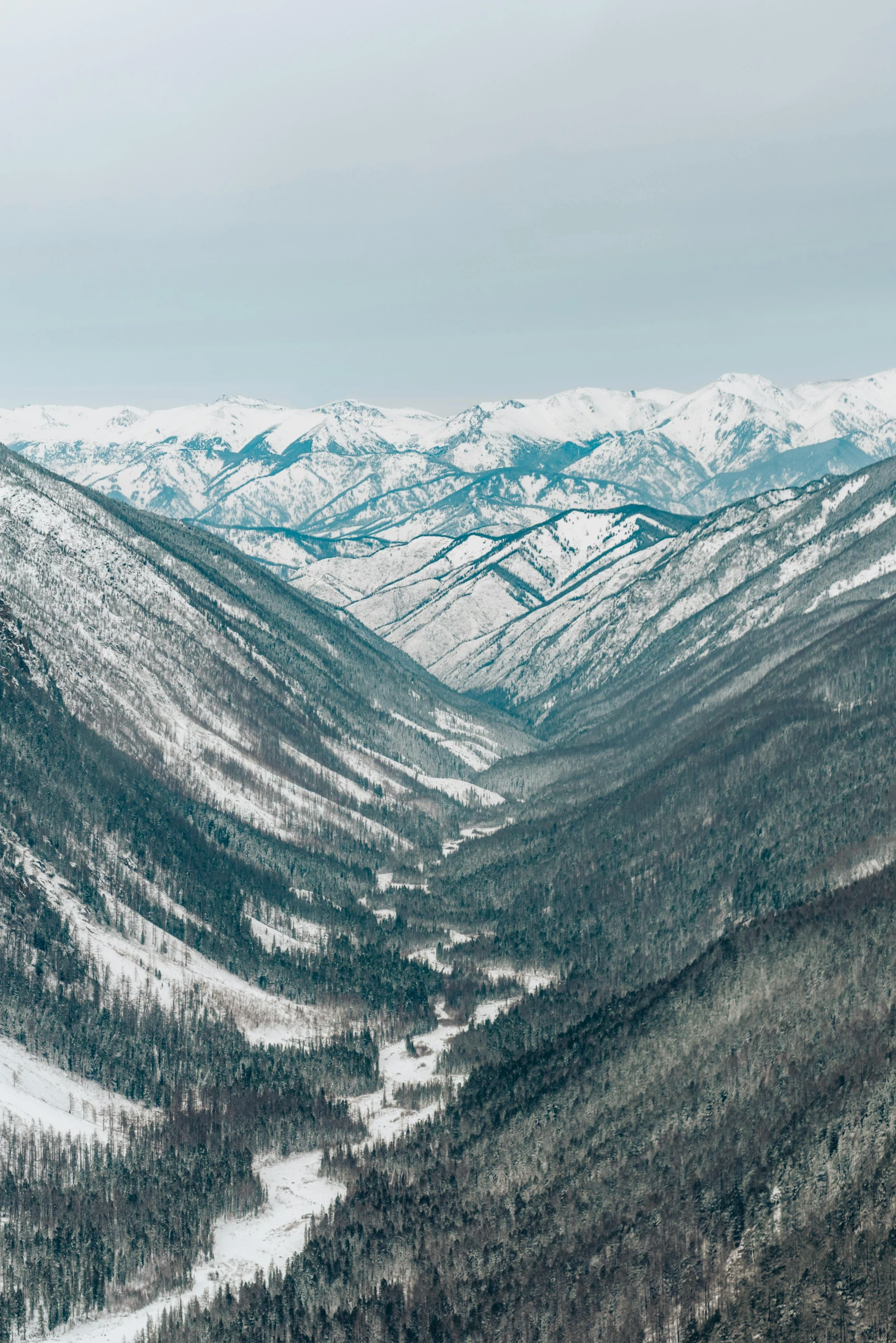 a man riding a snowboard down a snow covered slope, an album cover, inspired by Konstantin Vasilyev, unsplash contest winner, sōsaku hanga, lush forest in valley below, seen from straight above, southern slav features, panorama