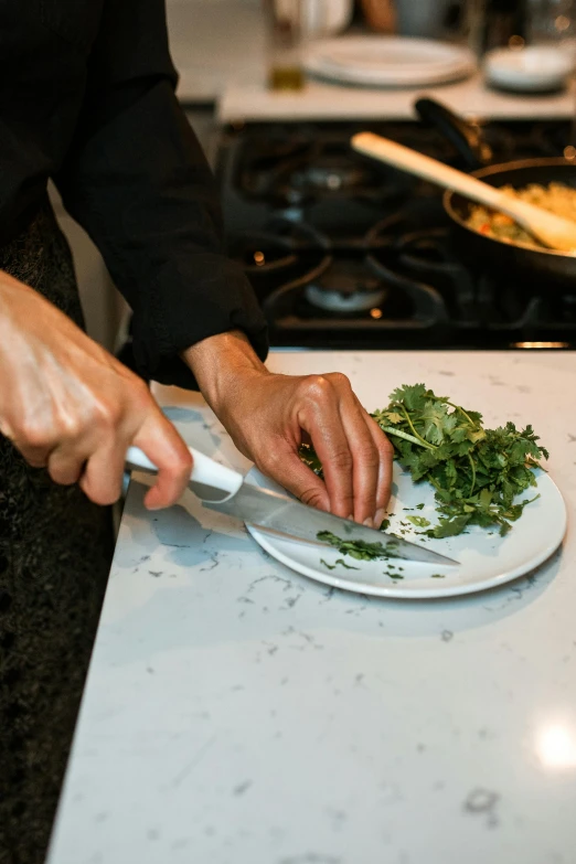 a close up of a person cutting vegetables on a plate, in a kitchen, performance, multiple stories, herbs