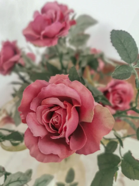 a vase filled with pink roses sitting on top of a table, up close, muted colour, 👰 🏇 ❌ 🍃, medium close up