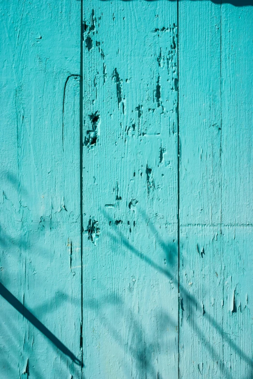 a fire hydrant sitting in front of a blue wall, an album cover, inspired by Elsa Bleda, rough wooden fence, abstract detail, vines. tiffany blue, shadow play