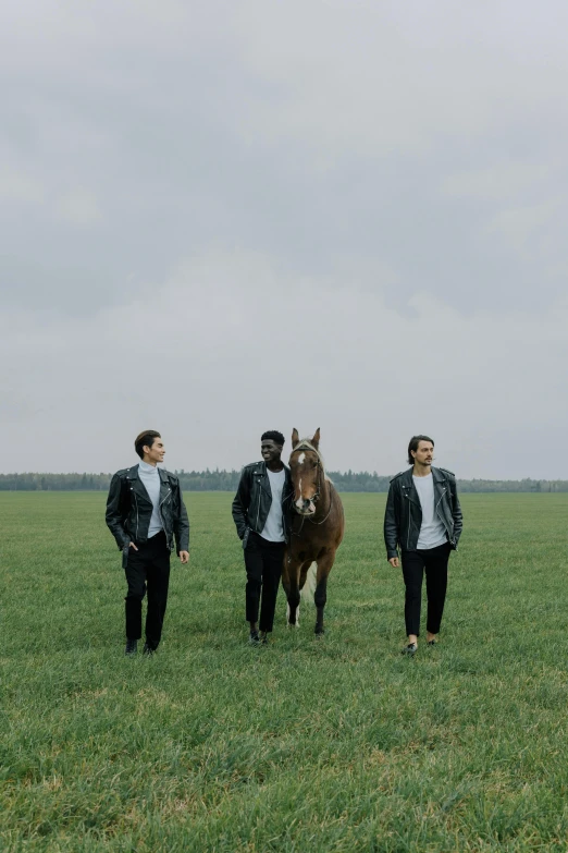 a group of people standing in a field with a horse, an album cover, by Attila Meszlenyi, pexels contest winner, wearing a suits, casual pose, attractive, the boys