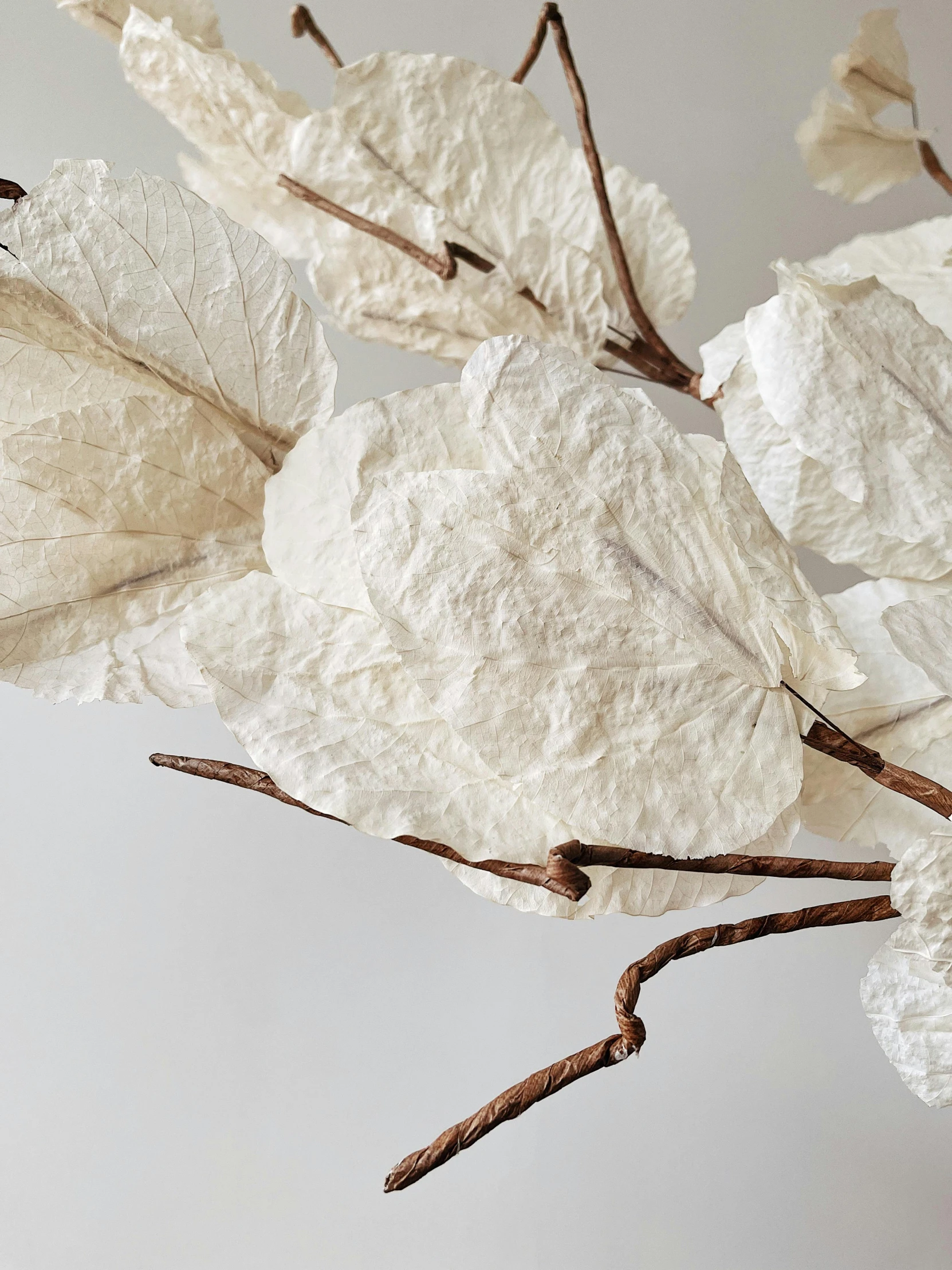 a vase filled with white flowers on top of a table, an abstract sculpture, by Helen Stevenson, trending on unsplash, environmental art, dried leaves, close up shot from the side, textured paper, large leaves