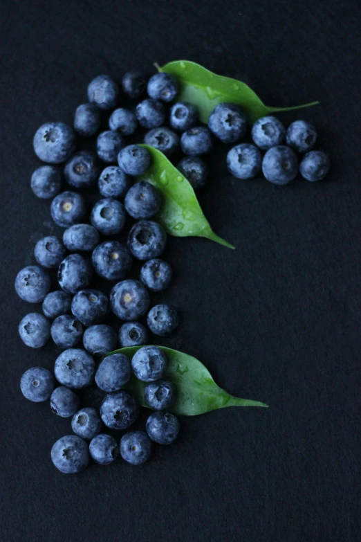blueberries with leaves on a black background, by Dan Scott, unsplash, 2 5 6 x 2 5 6 pixels, long, ap art, profile pic