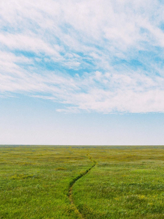 a field of green grass with a blue sky in the background, by Ryan Pancoast, unsplash, barren tundra, ignant, large path, uniform off - white sky