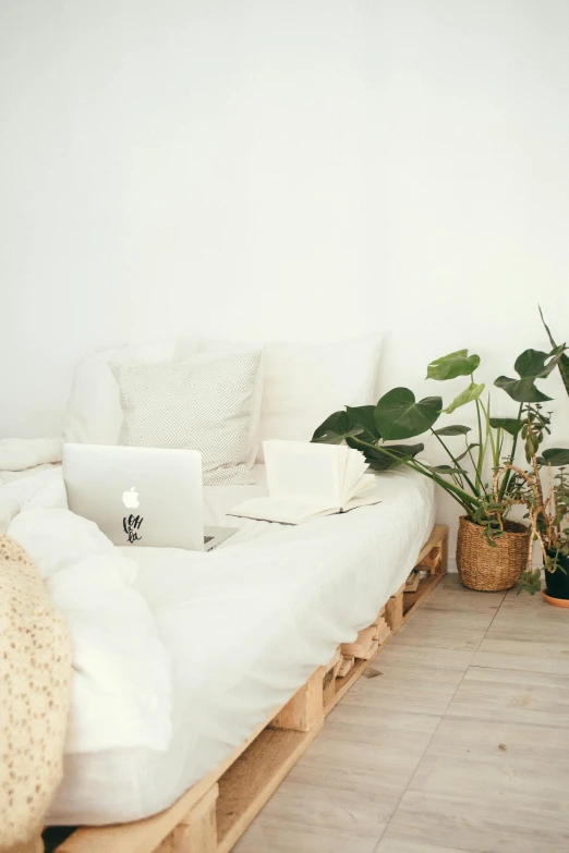 a bed with a laptop sitting on top of it, trending on unsplash, minimalism, lush plants, comfy chairs, white background, laying down