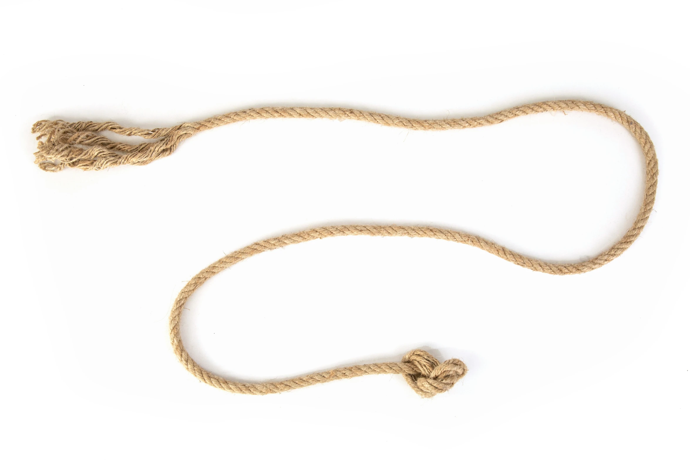 a close up of a rope on a white background, inspired by Masamitsu Ōta, unsplash, sōsaku hanga, with small object details, ww1, kidney, listing image