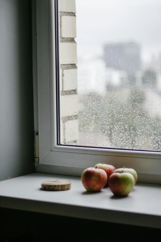 two apples sitting on a window sill in front of a window, rain and thick strands of mucus, foggy room, dirty apartment, rain sensor