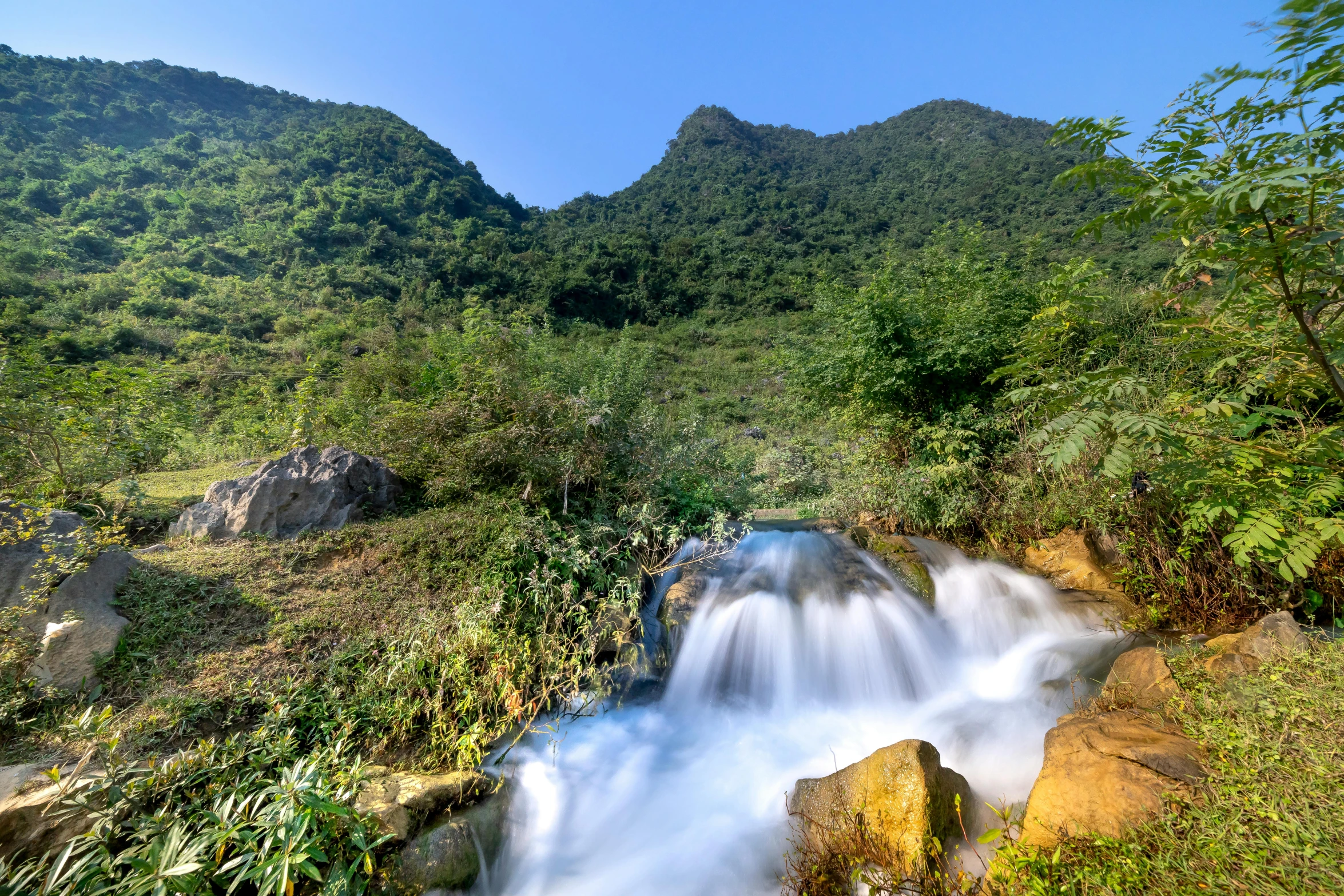 a river running through a lush green forest, trending on unsplash, vietnam, avatar image, mountain in background, several waterfalls