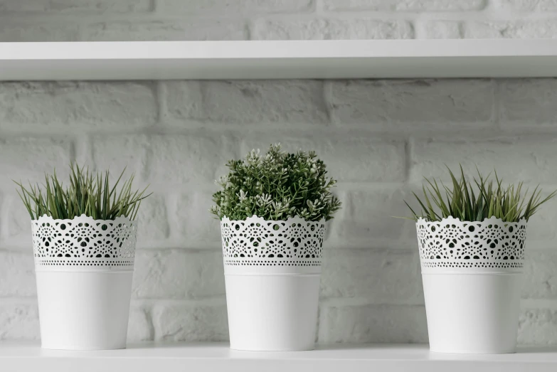 three potted plants on a shelf in front of a brick wall, a 3D render, unsplash, arabesque, dressed in white intricate lace, zinc white, close - up photograph, white plastic