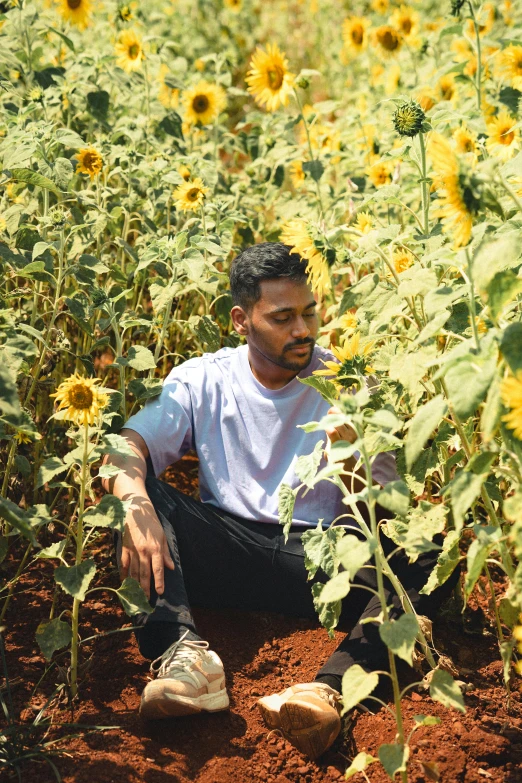 a man sitting in a field of sunflowers, by Niko Henrichon, visual art, brown skin like soil, jayison devadas, on ground, low quality photo