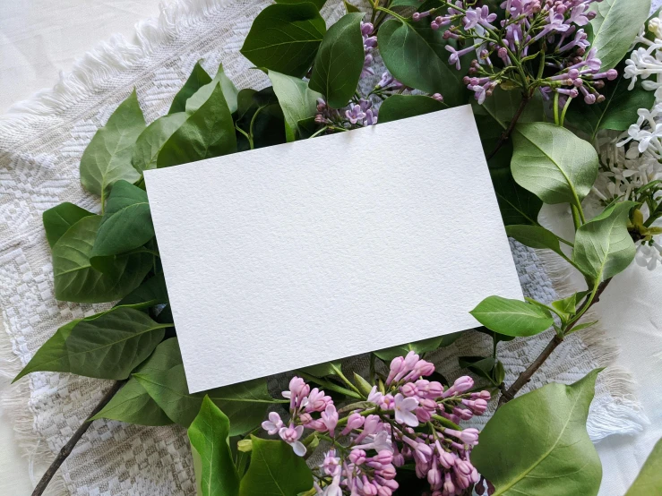 a white card sitting on top of a bunch of flowers, pexels contest winner, lilacs, white tablecloth, romantic greenery, background image