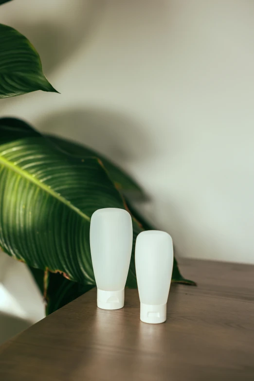 two white vases sitting on top of a wooden table, unsplash, big leaf bra, silicone skin, plastic bottles, product view