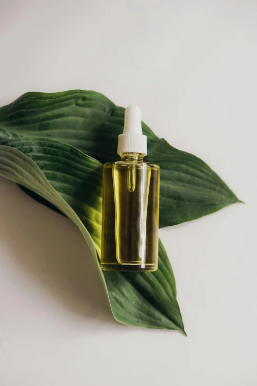 a bottle of oil sitting on top of a green leaf, by Jessie Algie, trending on pexels, renaissance, photoshoot for skincare brand, fan favorite, ilustration, organic lines