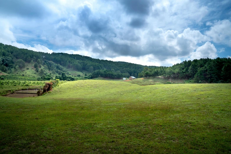 a field with a bench in the middle of it, by Muggur, panoramic photography, cleared forest, mid shot photo, fan favorite