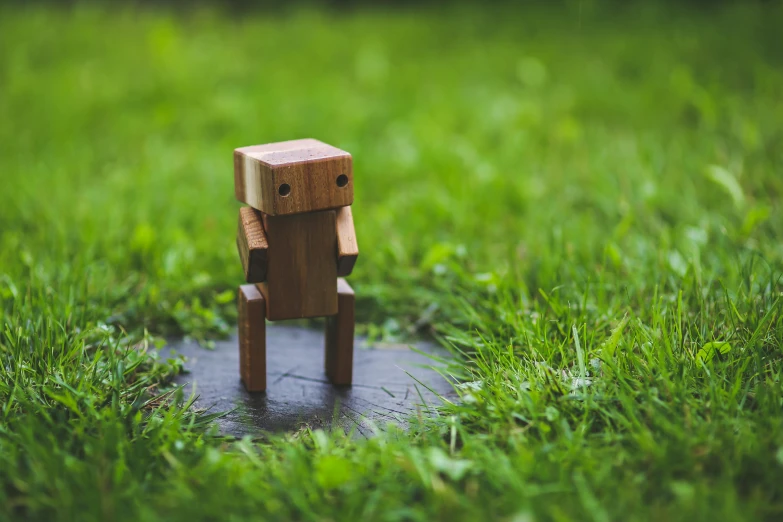 a small wooden figure sitting in the grass, by Romain brook, unsplash, robot design, blocky, biped, scutoid