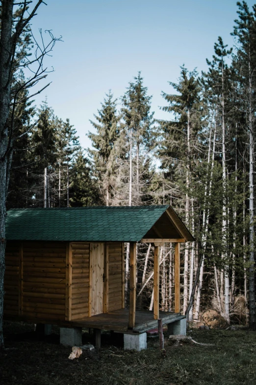 a small cabin in the middle of a forest, by Jessie Algie, unsplash, slide show, new hampshire, multiple stories, exterior photo