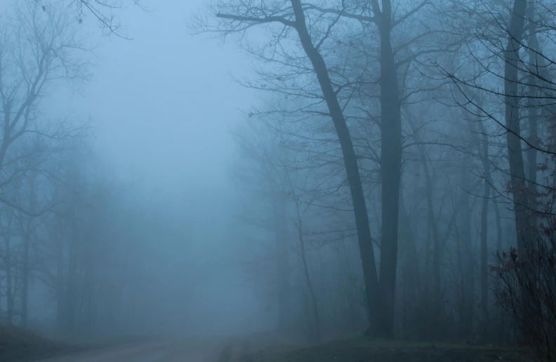 a road in the middle of a foggy forest, inspired by Elsa Bleda, pexels contest winner, tonalism, pale blue fog, southern gothic scene, scary scene, blue