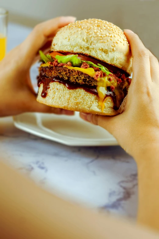 a close up of a person holding a sandwich, burger on a plate, profile image, caramel, lush vista