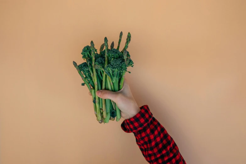 a person holding a bunch of green vegetables, inspired by Choi Buk, unsplash, background image, product shot, made of glazed, tall shot