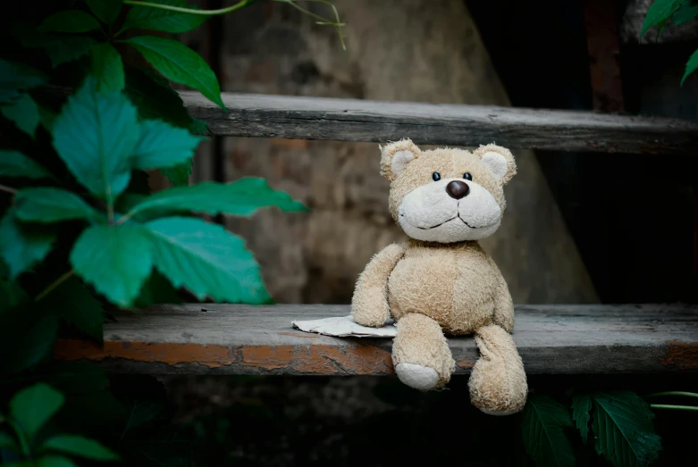 a teddy bear sitting on top of a wooden step, sitting on a bench