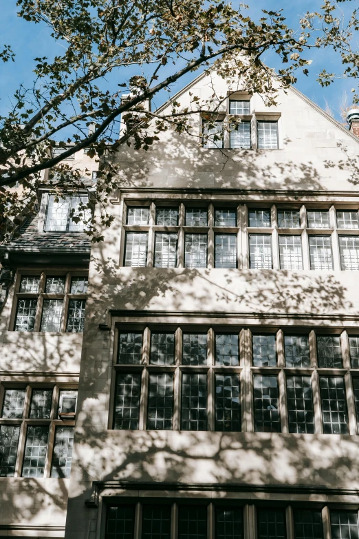 a building with a clock on the front of it, a photo, inspired by Sydney Prior Hall, unsplash, heidelberg school, massive trees with warm windows, tudor architecture, brandywine school, black windows