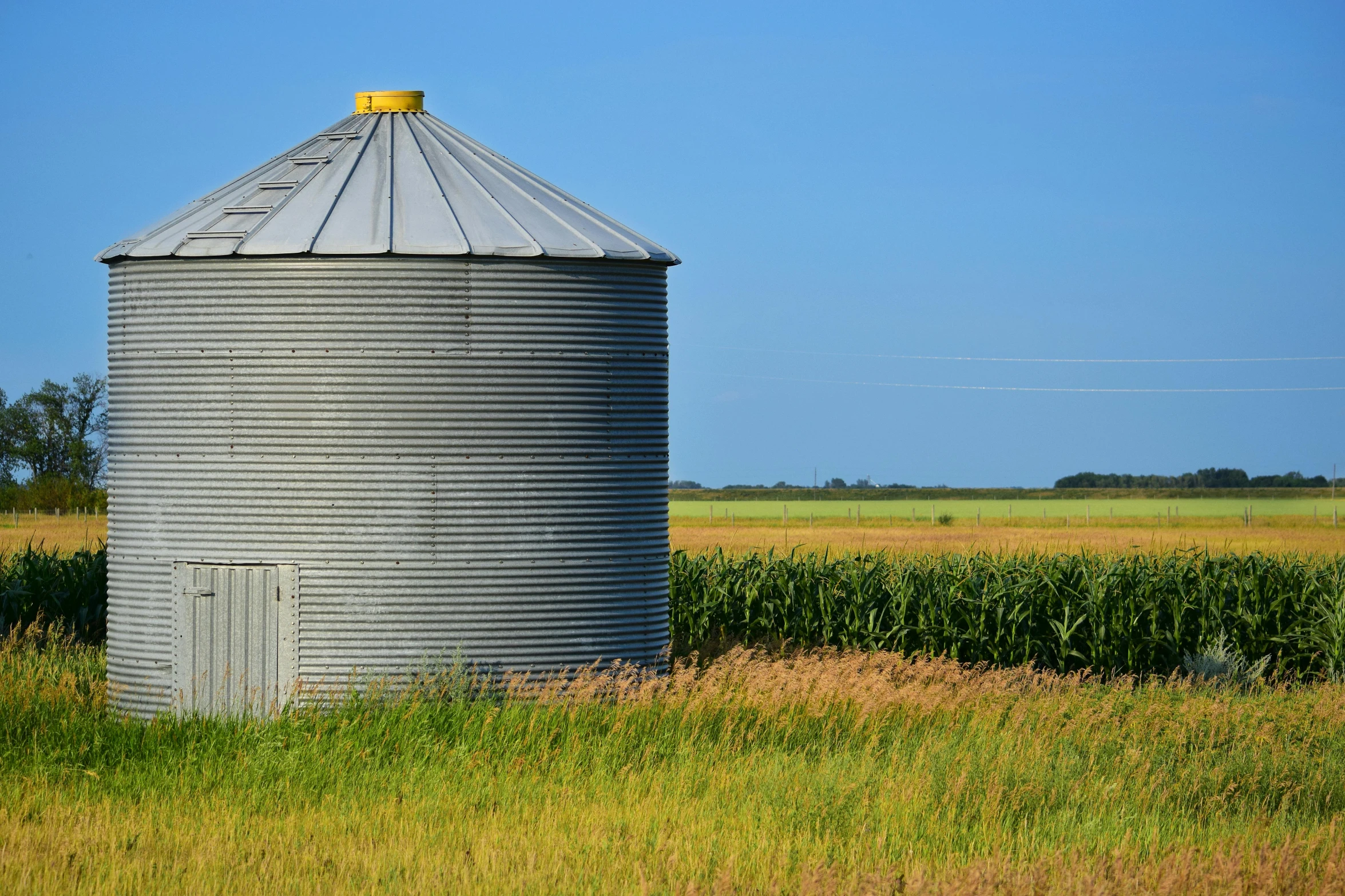 a grain silo in the middle of a corn field, pixabay, tin can, irrigation, 2000s photo