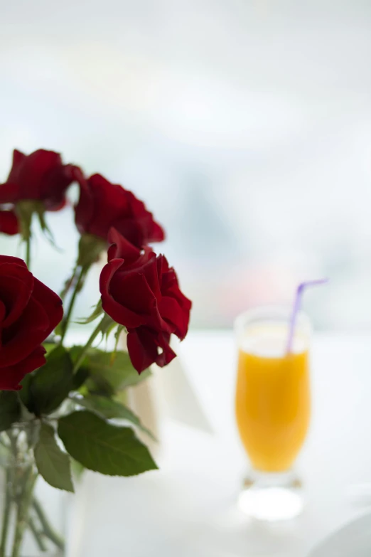 a vase filled with red roses next to a glass of orange juice, city view, breakfast buffet, slide show, drinks