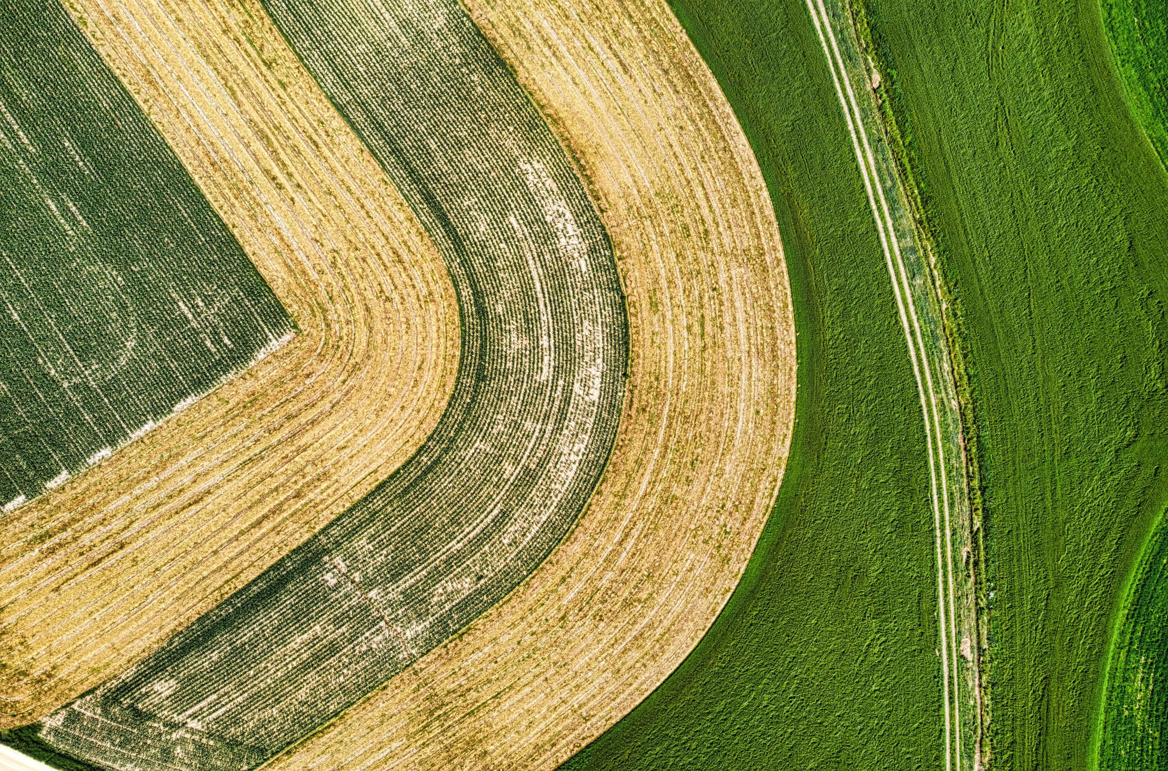 an aerial view of a tractor plowing a field, by Jan Rustem, unsplash, land art, square lines, gold and green, print ready, very detailed curve