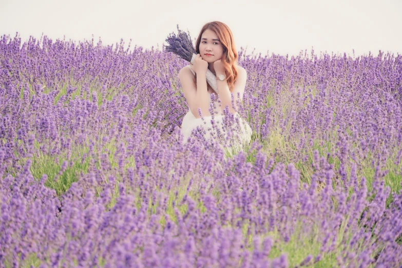 a woman standing in a field of purple flowers, trending on pixabay, romanticism, japanese model, avatar image, lavender blush, 🦩🪐🐞👩🏻🦳