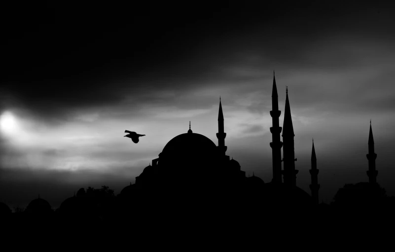 a black and white photo of a bird flying in front of a building, by Ismail Acar, pexels contest winner, hurufiyya, with beautiful mosques, ottoman sultan, dusk, photographic print