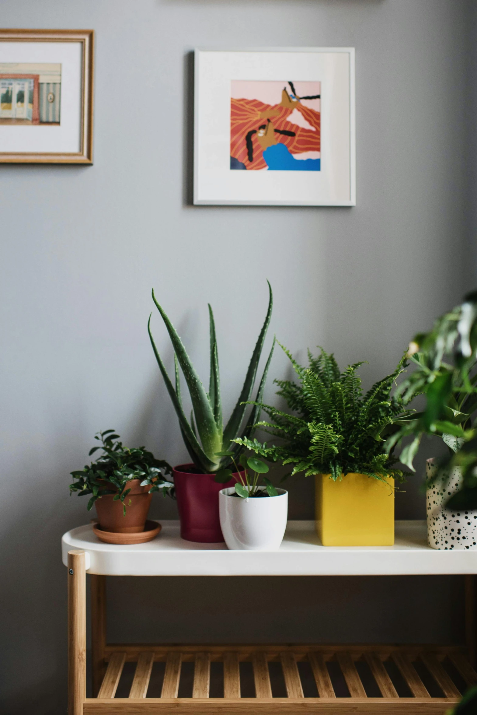 a white table topped with potted plants, inspired by Eero Snellman, trending on unsplash, conceptual art, square pictureframes, professionally color graded, payne's grey and venetian red, green and blue and warm theme