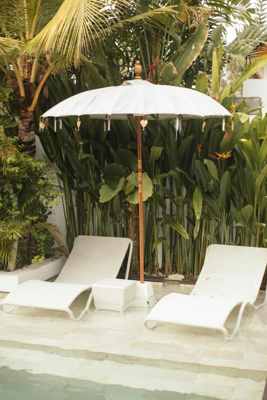 a couple of lawn chairs sitting next to a pool, renaissance, bali, white with gold accents, parasol, jungle