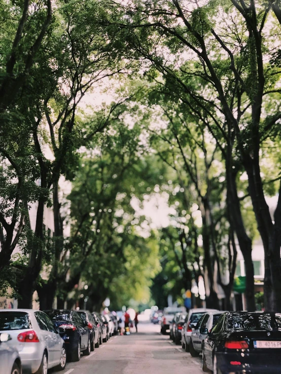 a street filled with lots of parked cars, pexels contest winner, lush trees, madrid. extreme long shot, ((trees)), 4 5 mm bokeh